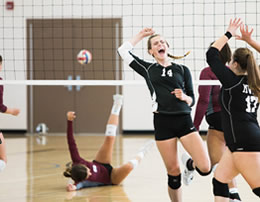 Section Volley-Ball - étendard de la Talaudière